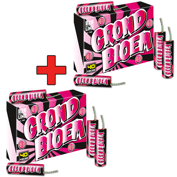 1405SET Grondbloem 1 + 1