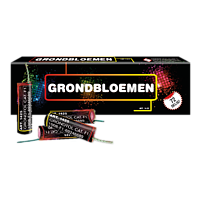 GBV1425 B2B Grondbloem 72 OP=OP
