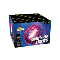 2311 Unity of Lights