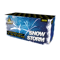 2619 Snowstorm