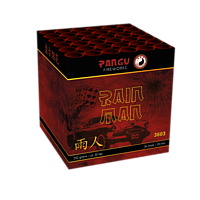 3603 Rain Man