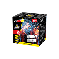 GBV4004 Sinnendurst OP=OP