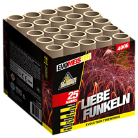 GBV4006 Liebefunkeln OP=OP