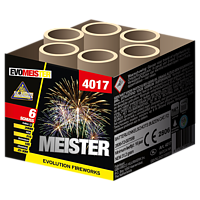 GBV4017 Meister OP=OP