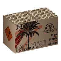 6312 Palm Beach