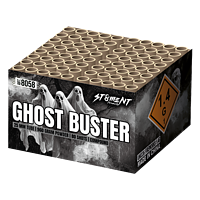 8058 Ghostbuster