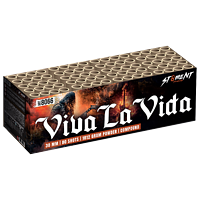 8066 Viva La Vida
