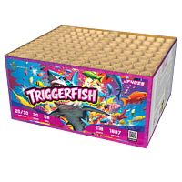JF4029 Triggerfish